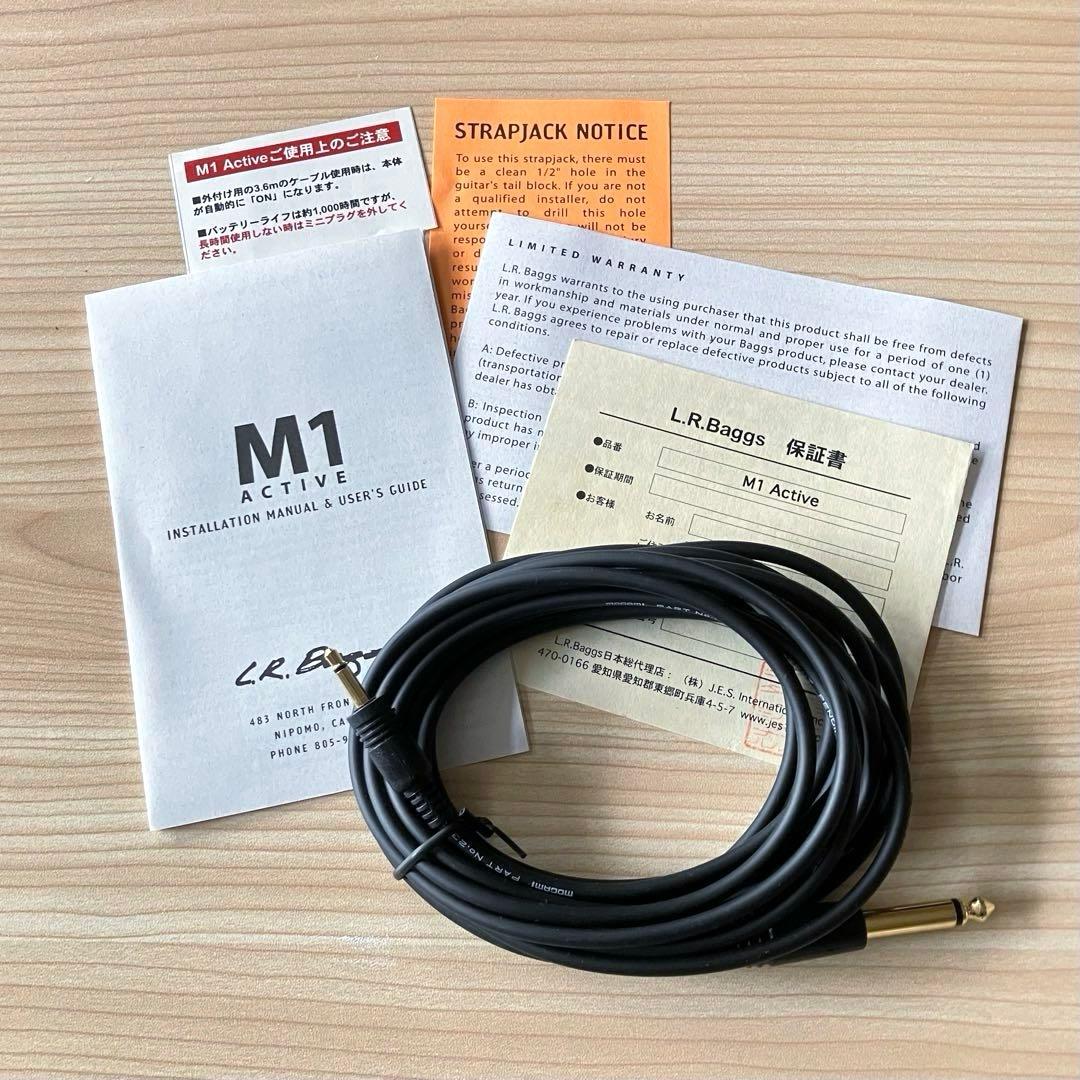 ギター L.R. Baggs M1 Active