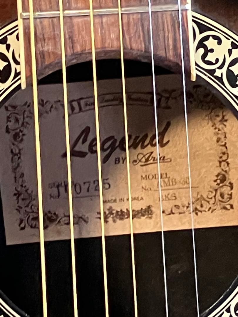 ARIAエレアコ完動品！ ソフトケースとストラップ付きます。