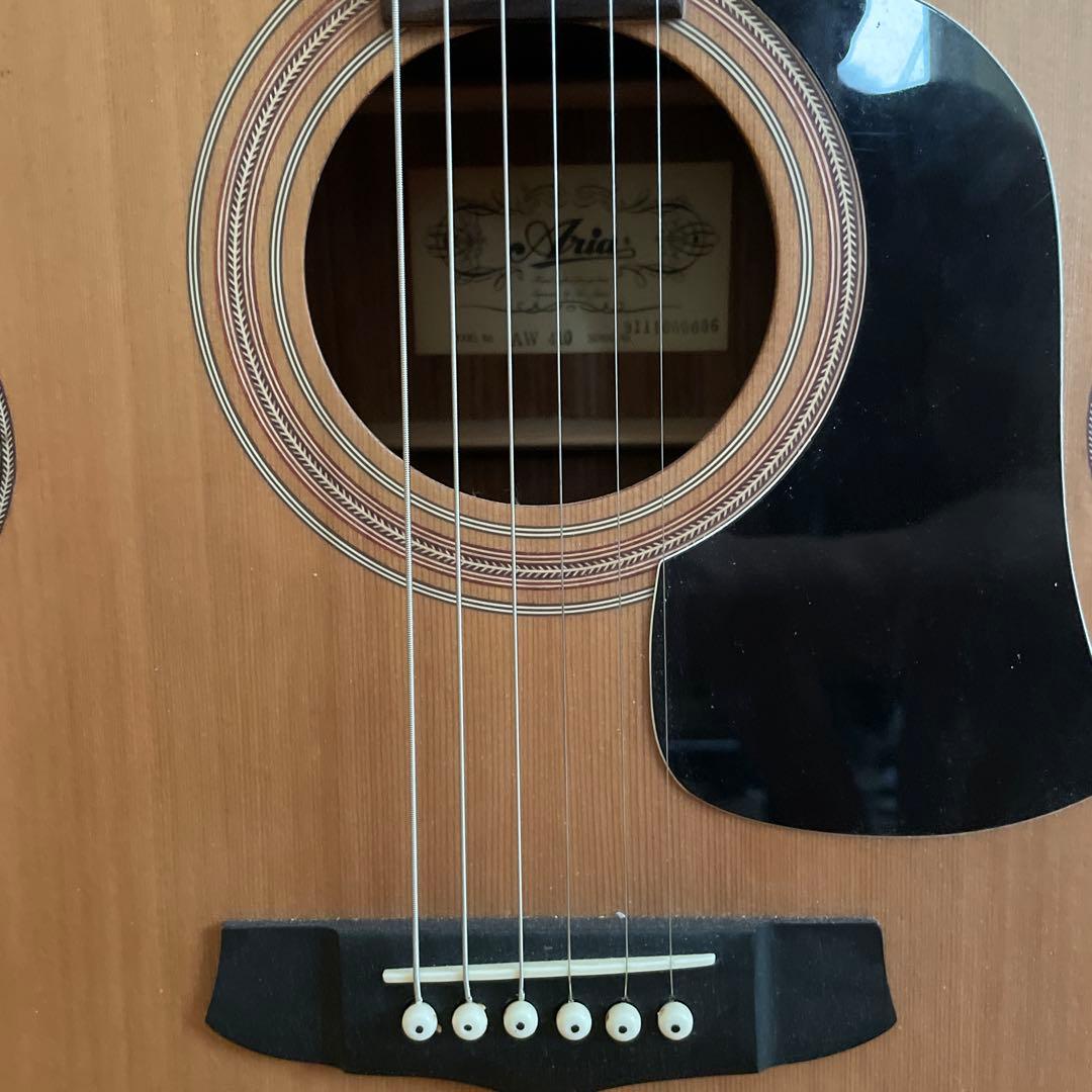 Aria アコースティックギター ドレッドノート　ケース付き