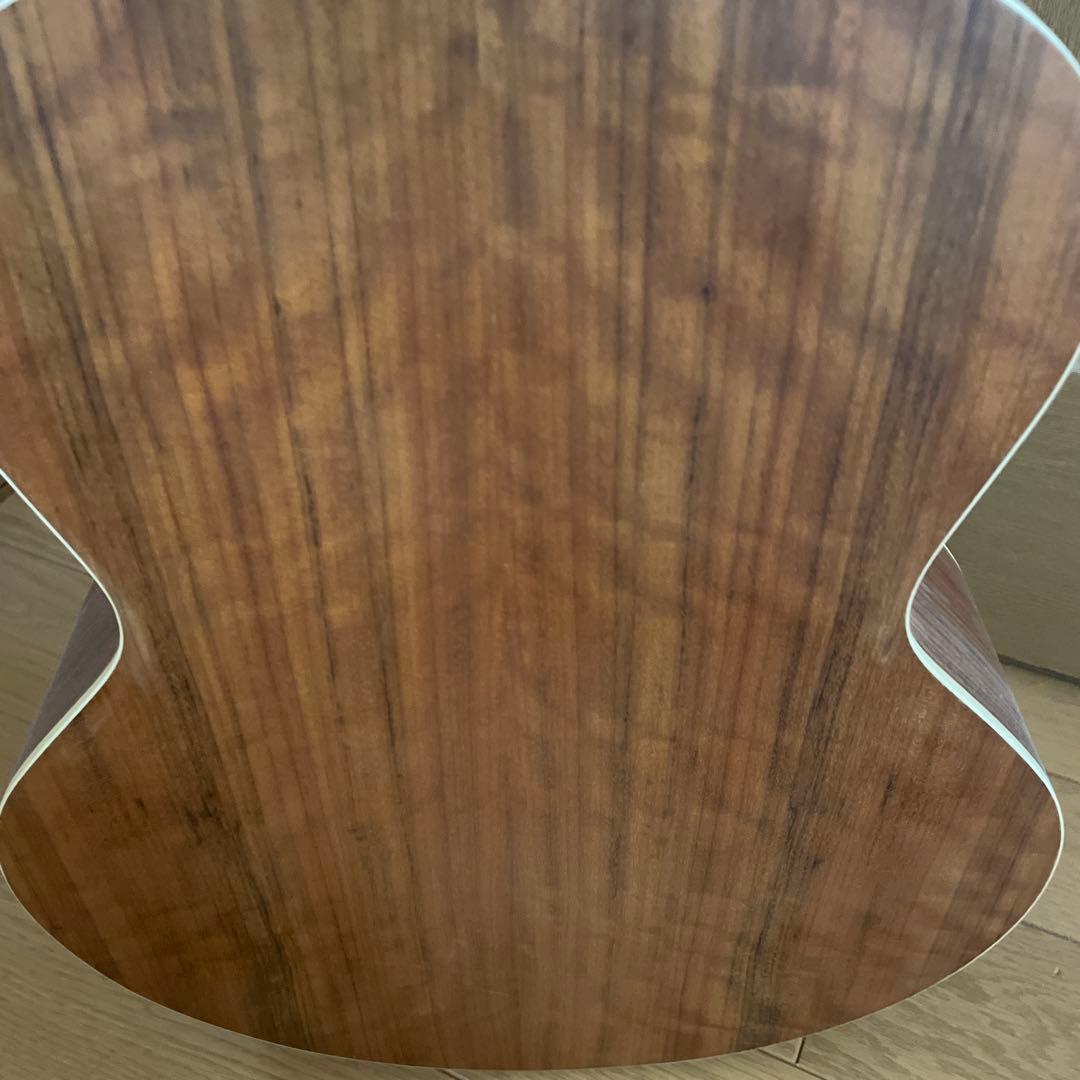 Aria アコースティックギター ドレッドノート　ケース付き