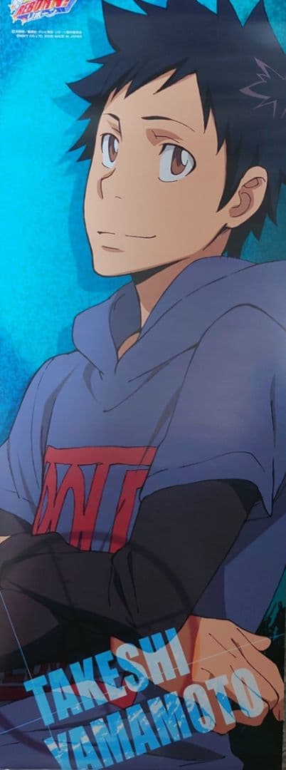 REBORN!（リボーン）スティックポスター11枚セット 雲雀 沢田 獄寺 山本