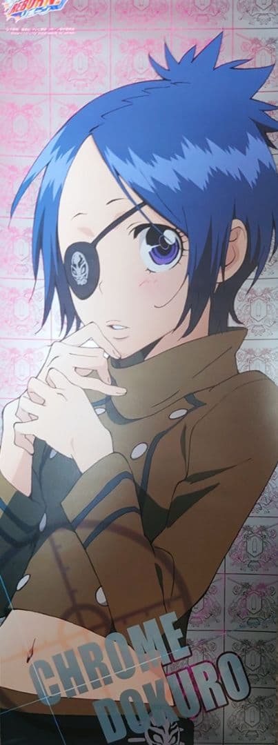 REBORN!（リボーン）スティックポスター11枚セット 雲雀 沢田 獄寺 山本