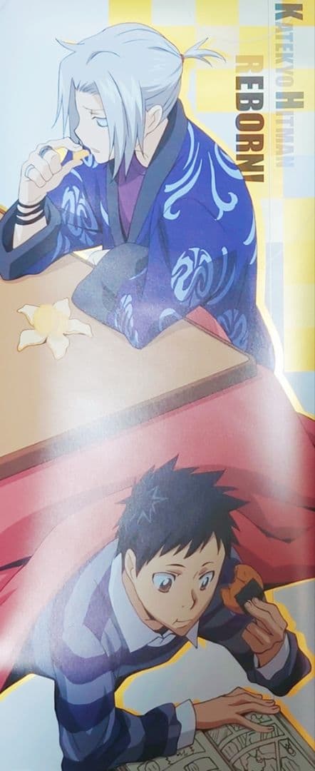 REBORN!（リボーン）スティックポスター11枚セット 雲雀 沢田 獄寺 山本