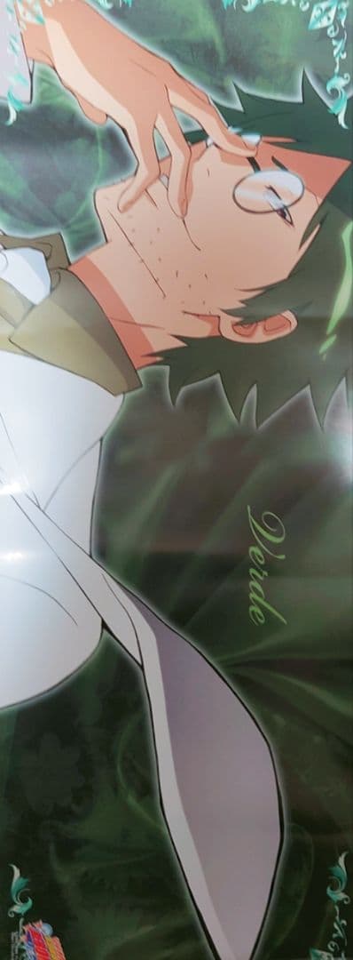 REBORN!（リボーン）スティックポスター11枚セット 雲雀 沢田 獄寺 山本