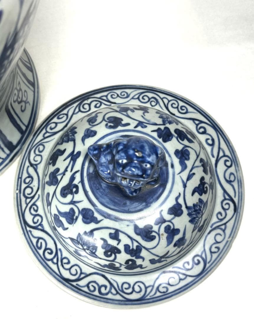 古染付 龍紋獅耳大壷 伝世品焼物 虫食い 青花 呉須 ウブ品 骨董WWTT137