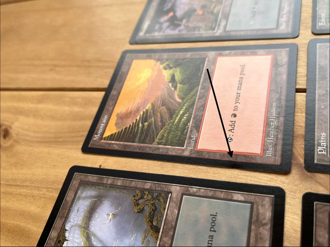 MTG 訳あり　apecランド　アリーナ森　セット売り