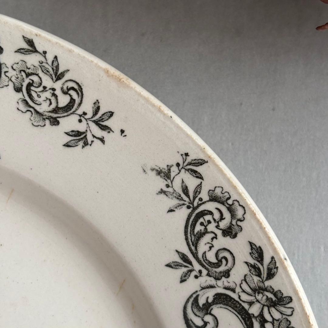 フランスアンティーク ショワジールロワ LOUIS XV ロカイユ プレート