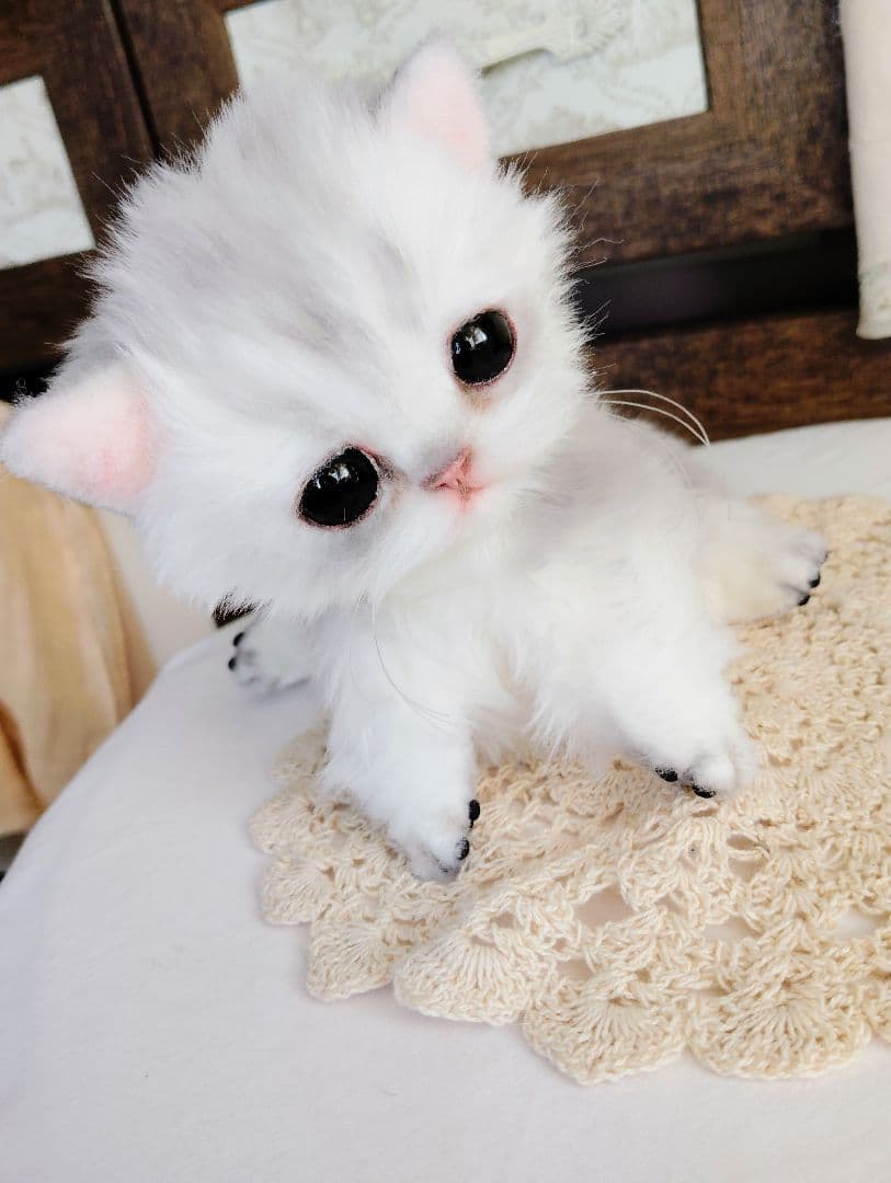 チンチラシルバー♡子猫のララちゃん♡アートドール♡ぬいぐるみ♡