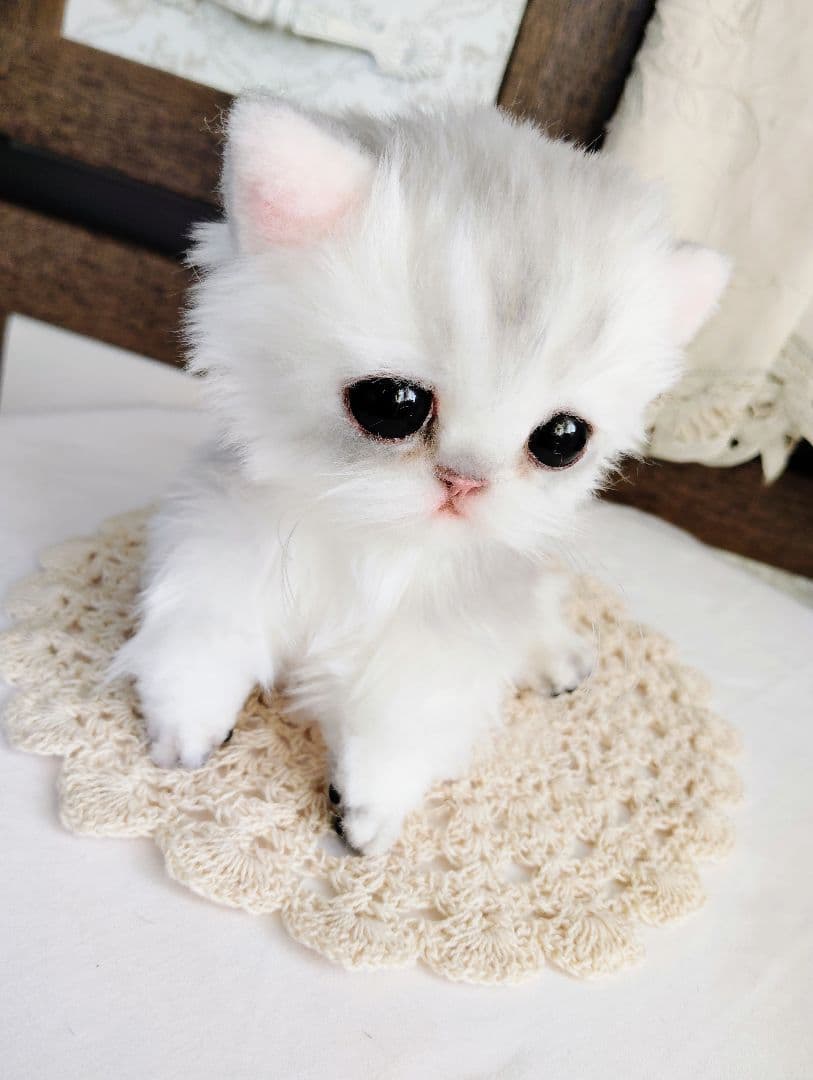 チンチラシルバー♡子猫のララちゃん♡アートドール♡ぬいぐるみ♡