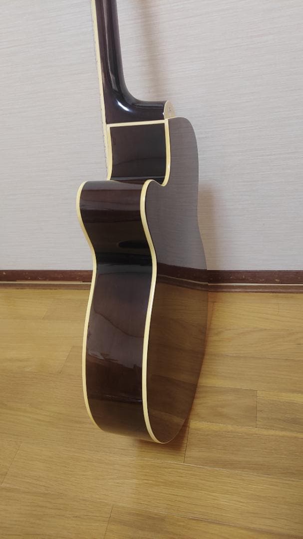 ギター Sepia Crue EAW-180/BKS