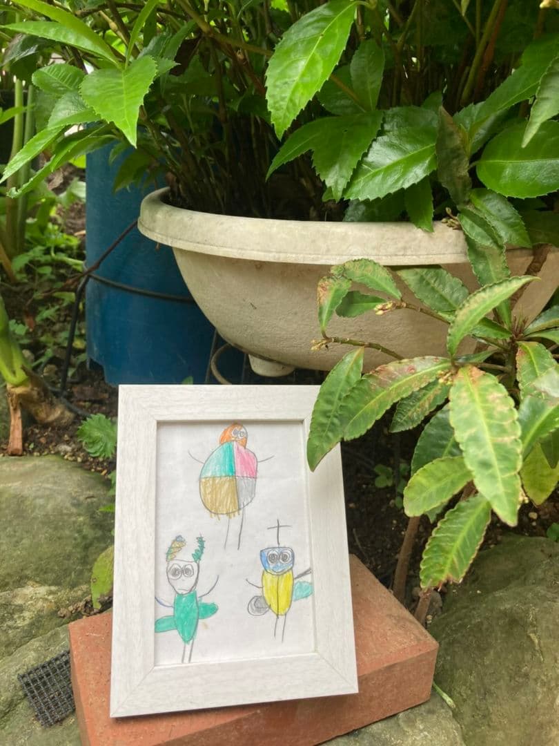 夏の虫たち　子供が書いた絵　色鉛筆絵　孫の絵