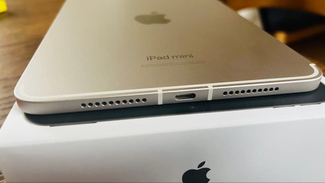 iPad mini (第7世代) Wi-Fi + Cellular 256GB