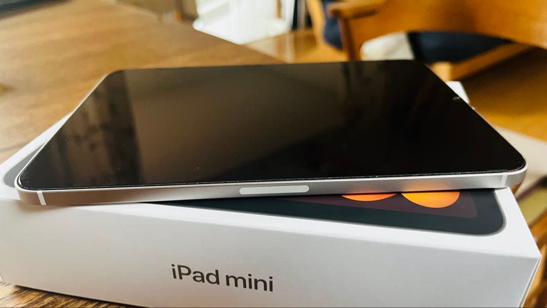 iPad mini (第7世代) Wi-Fi + Cellular 256GB