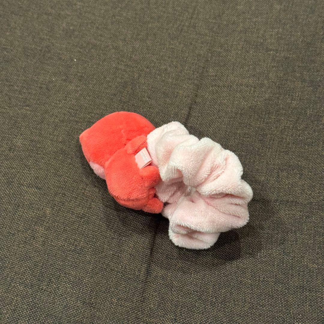 RIIZE ライズ ショウタロウ リズコ シュシュ