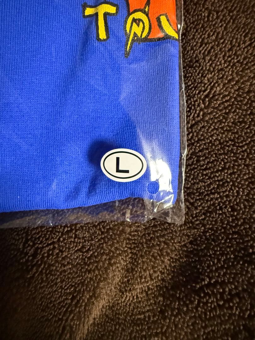 Hi-STANDARD SNB ツアー Tシャツ ブルー Lサイズ ハイスタ