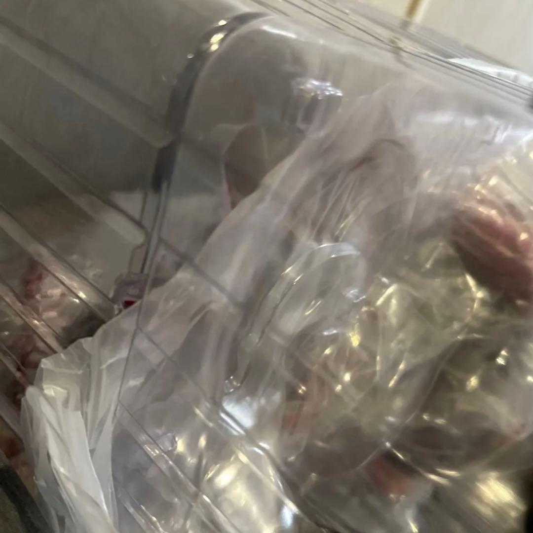 Fate/Grand Order クーフーリンオルタ フィギュア　1/7スケール