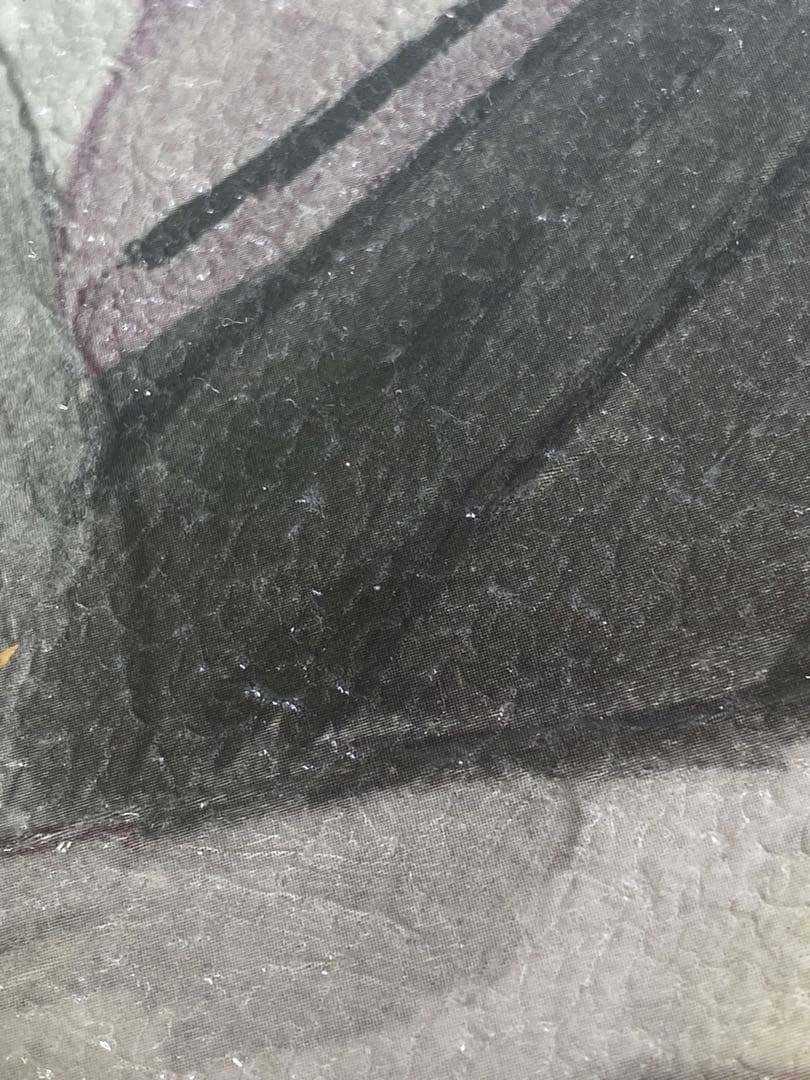 2396❣️ マリーローランサン スペインの姉妹 立体複製