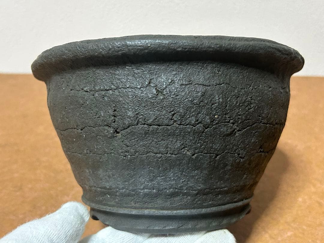 十王堂　松泉造　盆栽鉢　小品盆栽　山野草