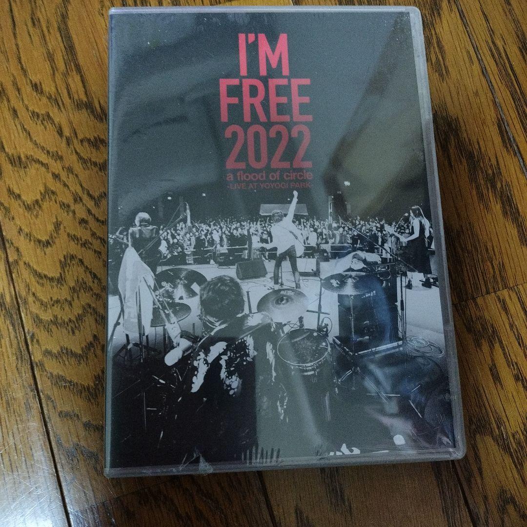 a flood of circle DVD3点 Tシャツ