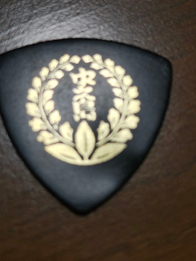 ZEN-ON ハルモニア 赤色 ケース付き