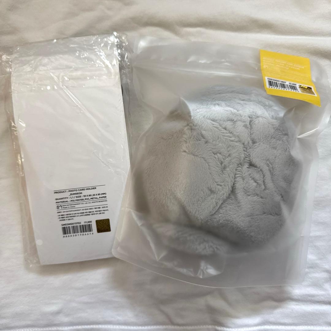 RIIZE ウンソク ソンヨンドリ ペンライトカバー　トレカケース