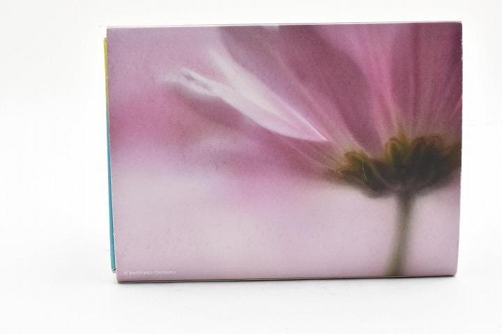 15237E ★新品★ レンズベビー 56mm F1.6 LENSBABY