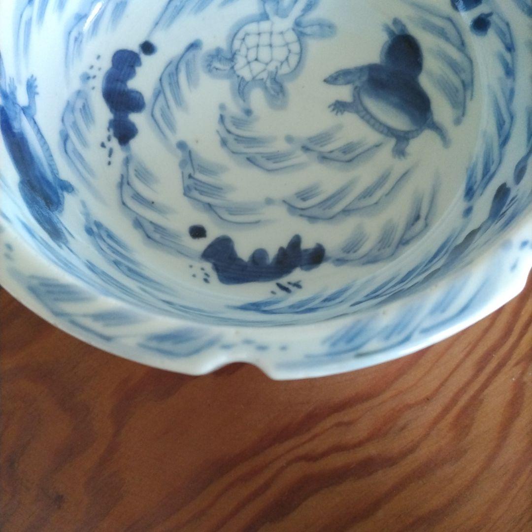 ★ 江戸期 亀 染付 鉢 古伊万里 アンティーク