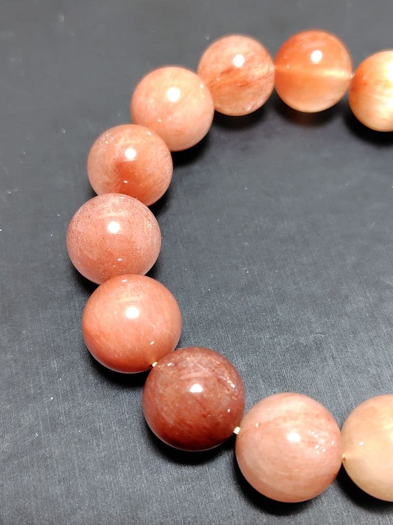 ピンクサゲ 14mm18cm