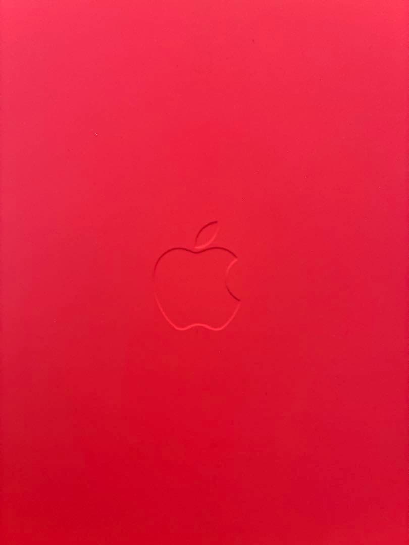 純正iPad（A16）用Smart Folio - ウォーターメロン