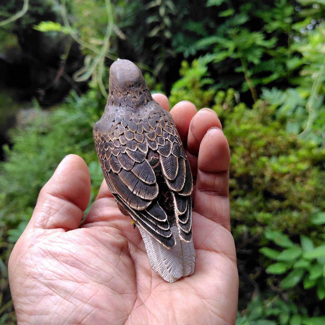 小さなバードカービング オジロワシ 野鳥 木彫り