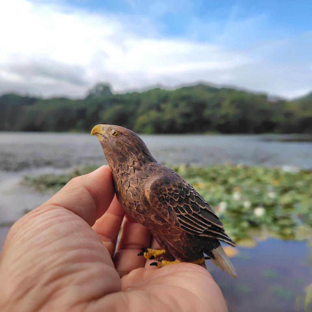 小さなバードカービング オジロワシ 野鳥 木彫り