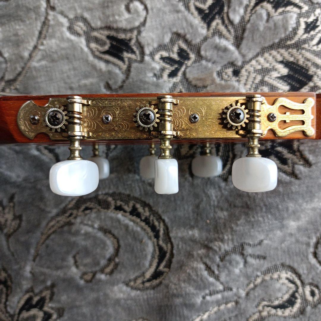 Bellame G-200 バック＆サイド うねりあるローズ系杢目 日本製