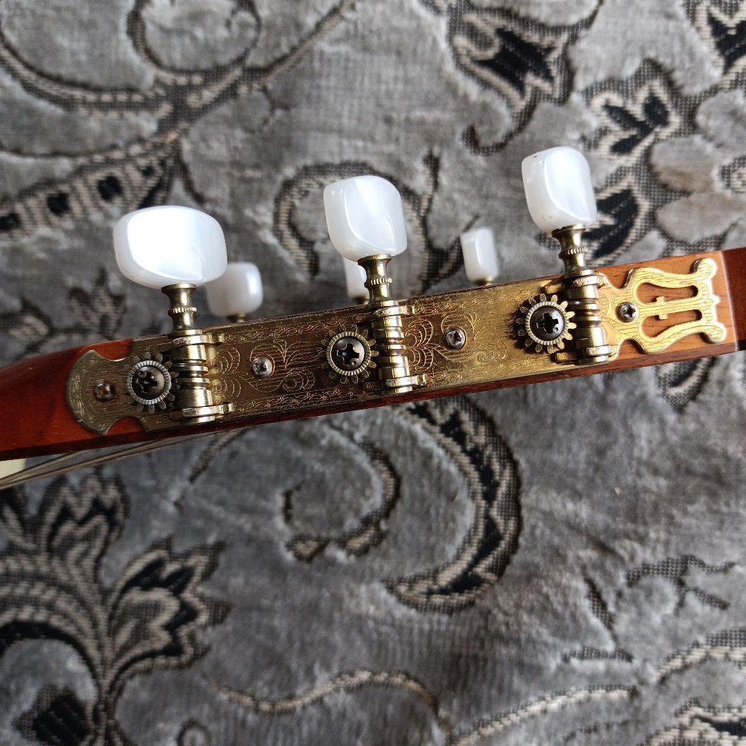 Bellame G-200 バック＆サイド うねりあるローズ系杢目 日本製