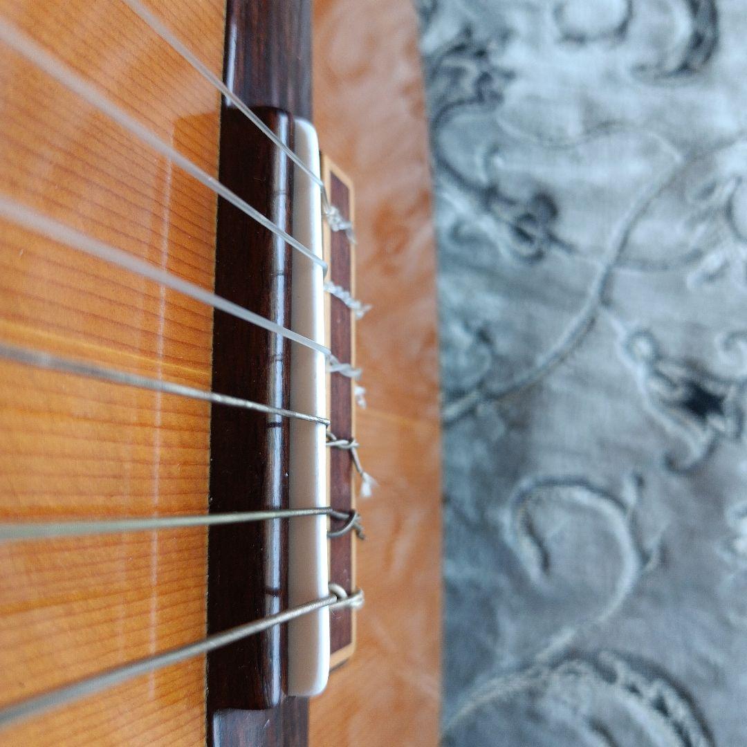 Bellame G-200 バック＆サイド うねりあるローズ系杢目 日本製