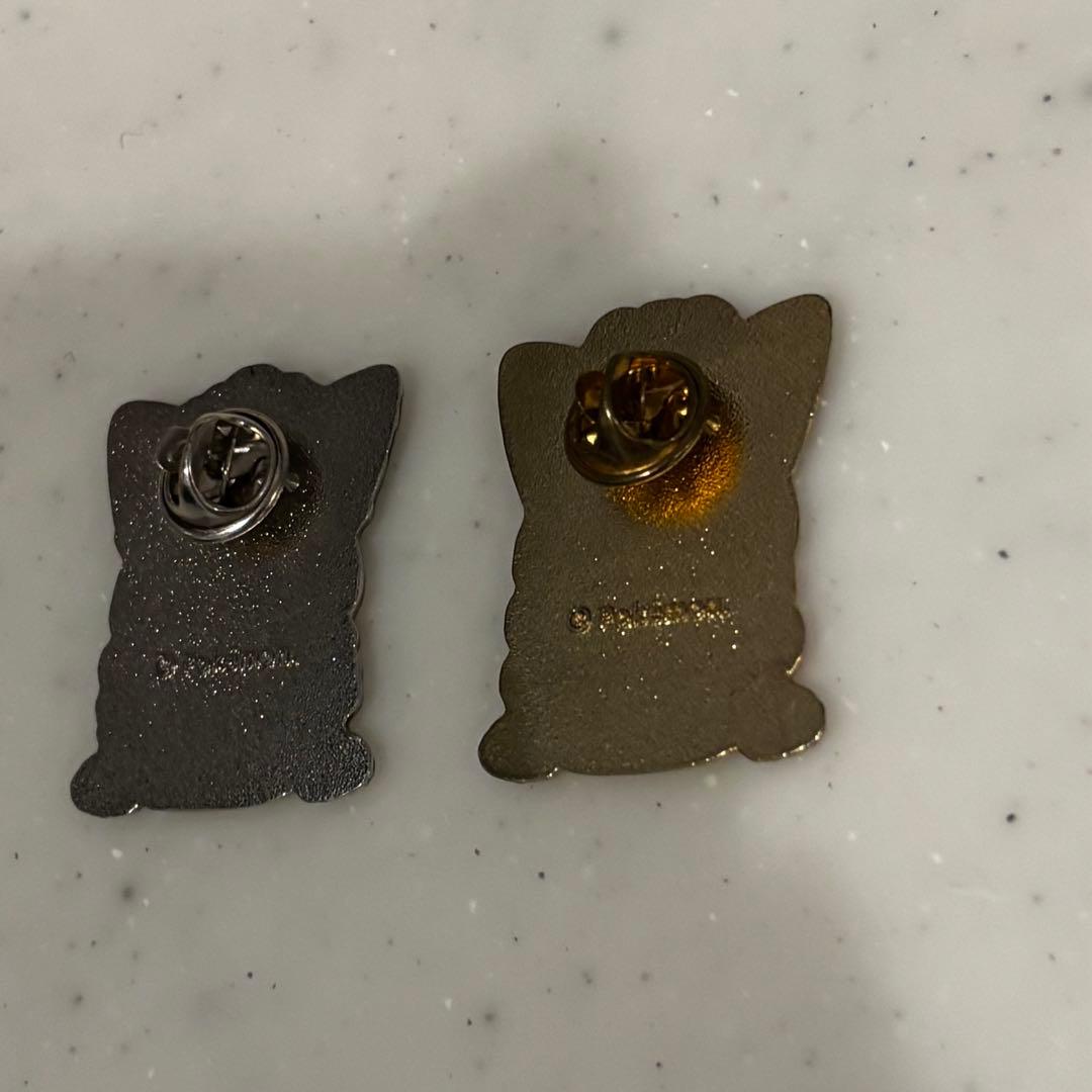 アローラロコン&ロコンポンチョのピカチュウ ピンズセット