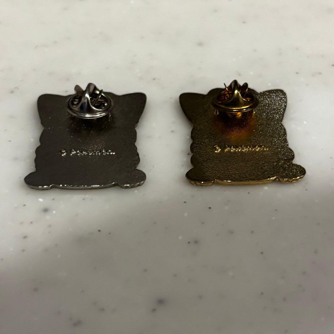 アローラロコン&ロコンポンチョのピカチュウ ピンズセット