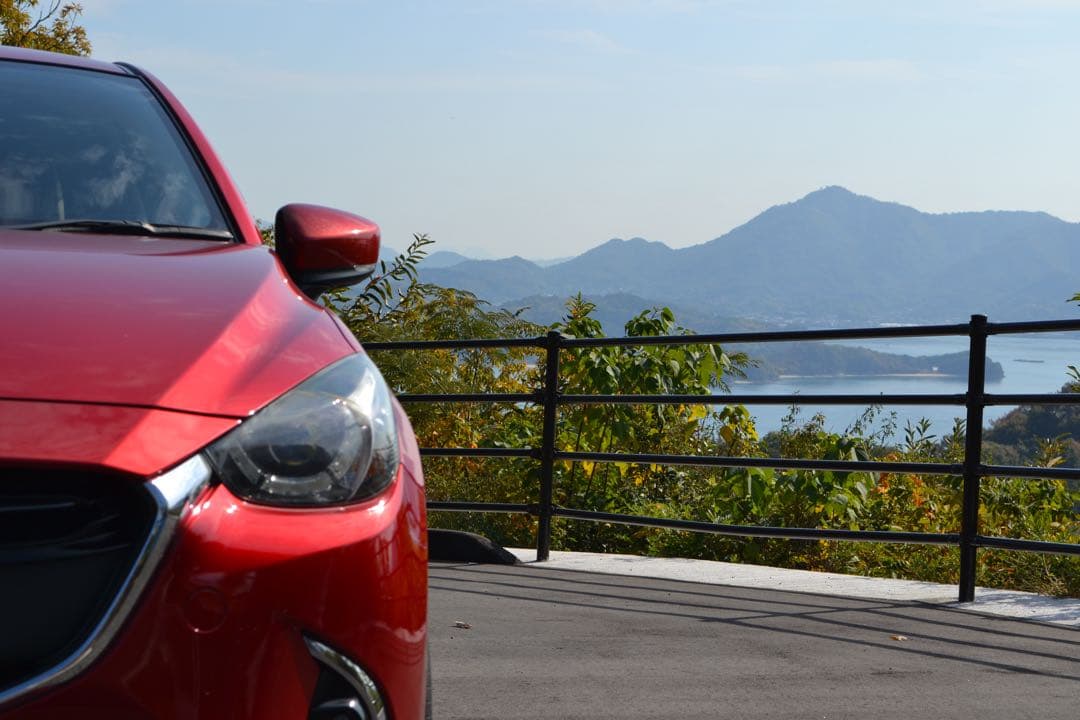 S数:4783枚　nikon d3100 レンズ&バッテリーセット