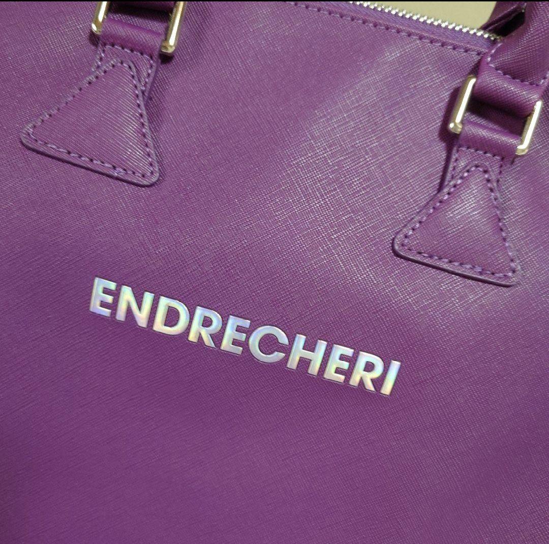 ENDRECHERI 25th Anniversary ボストンバック