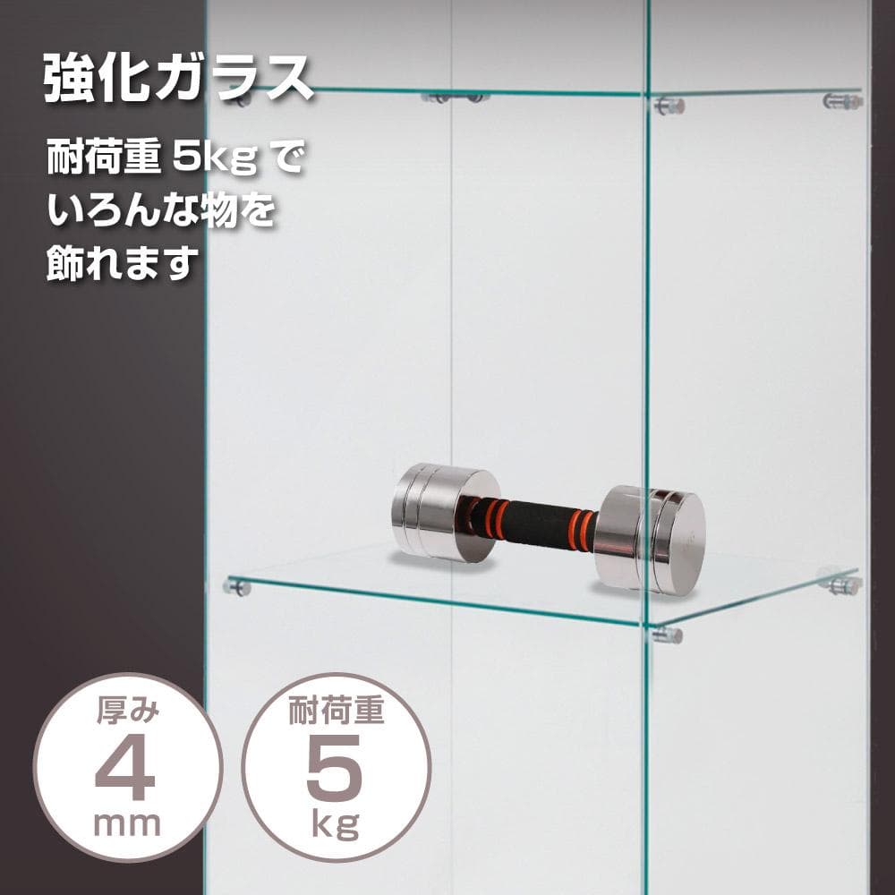 【新品】２段ワイド ホワイト コレクションケース ガラス フィギュアケース 棚