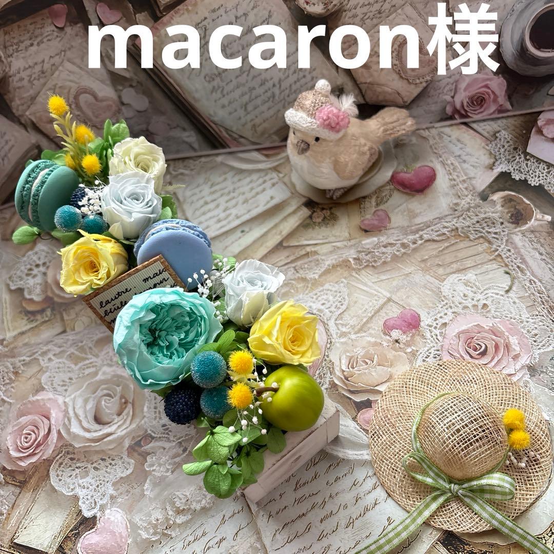 macaronです。