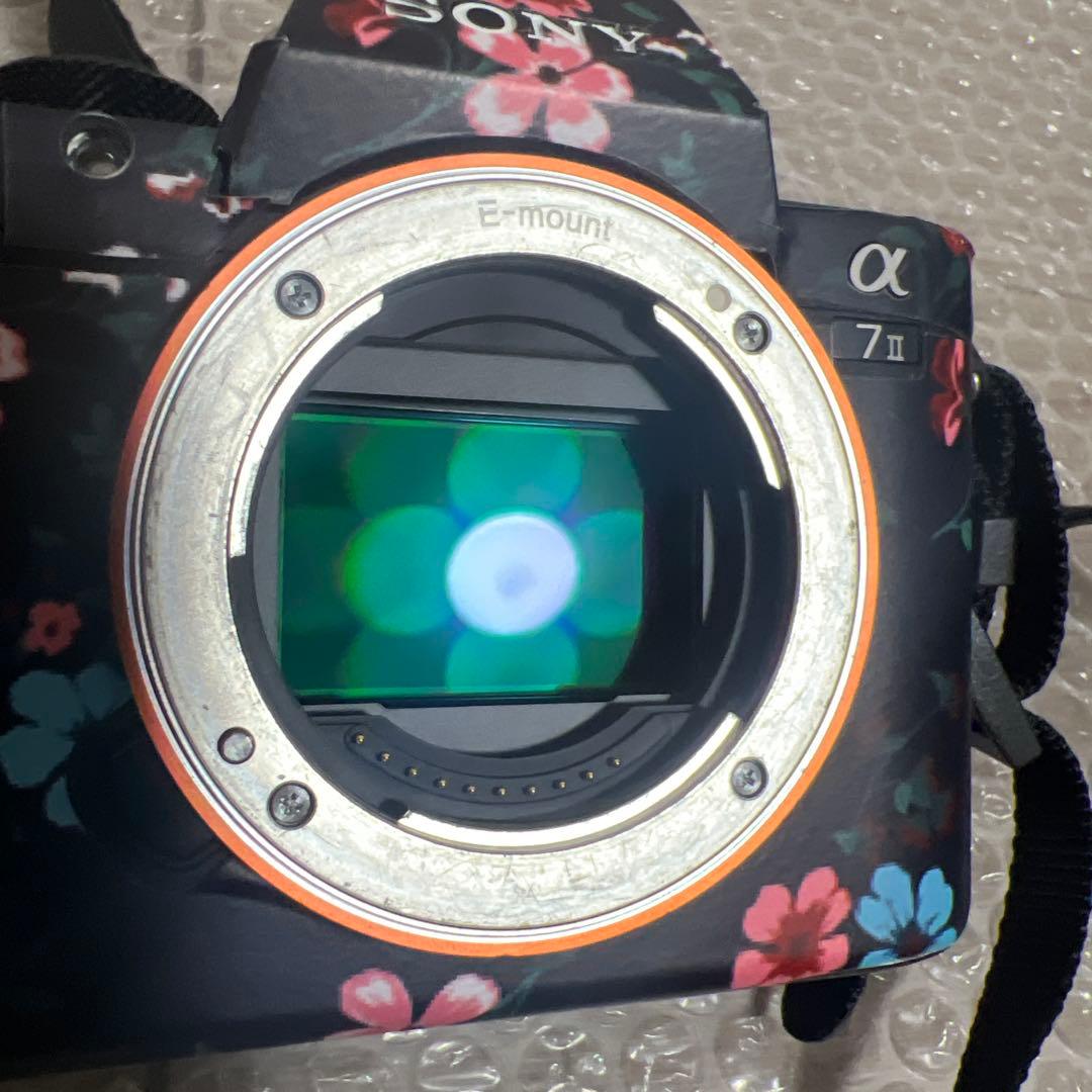 一眼レフカメラ　SONY α7 Ⅱ レンズ　その他おまけ付