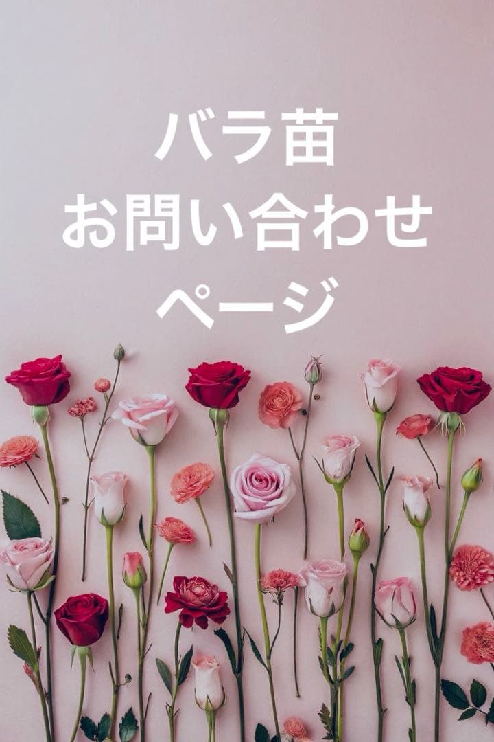 バラ苗　お問い合わせ　ページ