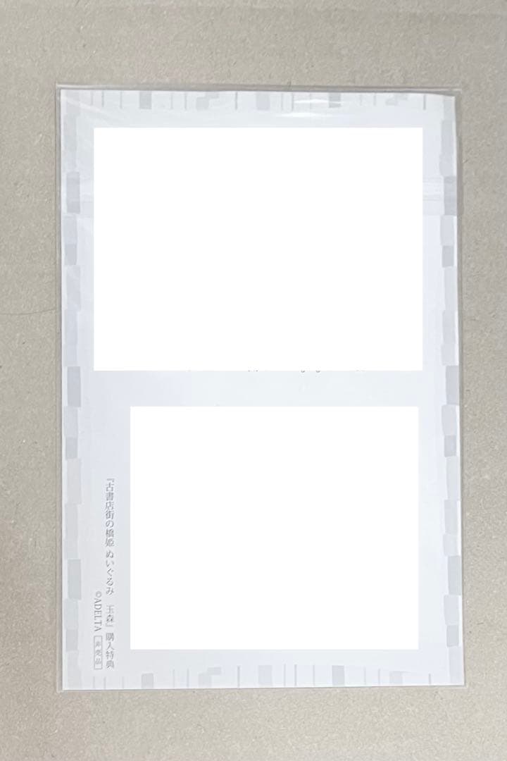 古書店街の橋姫　玉森ぬいぐるみ