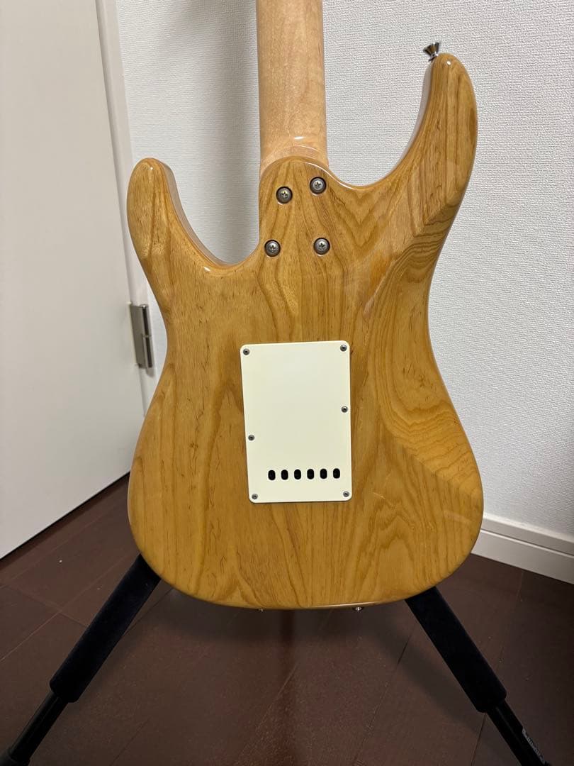 SCHECTER BH-1-STD-24 シェクター