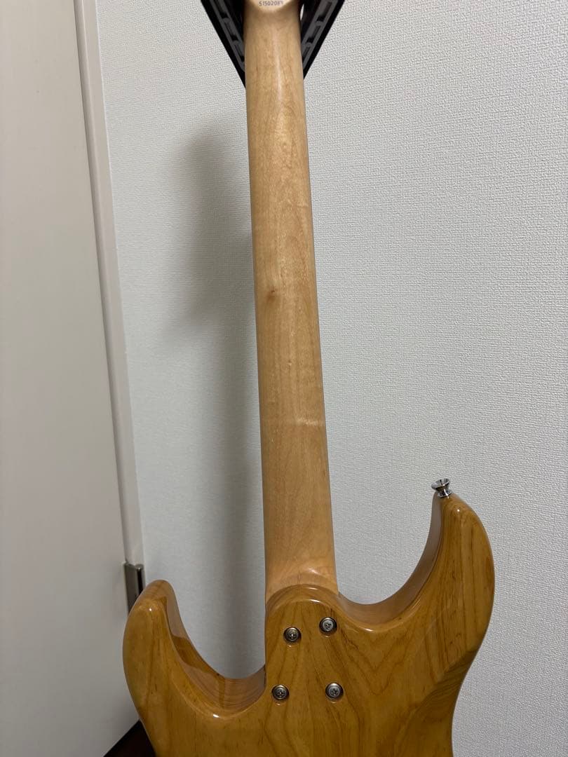 SCHECTER BH-1-STD-24 シェクター
