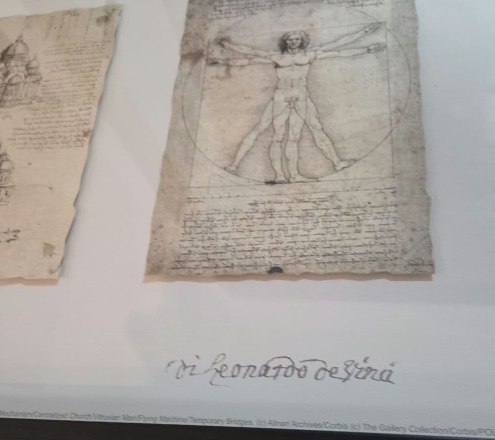 レオナルド・ダ・ヴィンチの5つスケッチを集めた壁掛けのアート