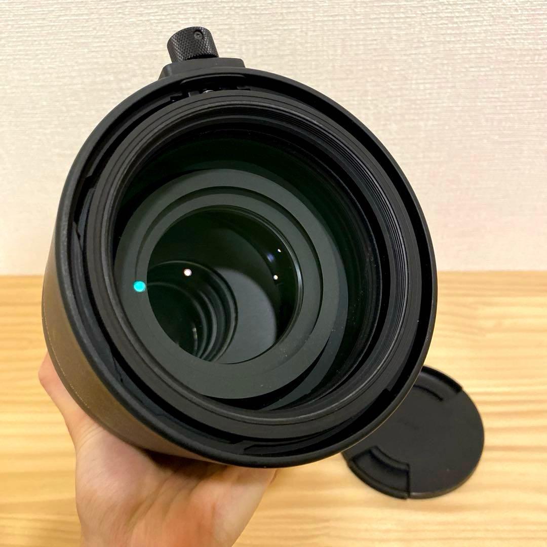 SIGMA sports 150-600F5-6.3 DGDN （SONY E）