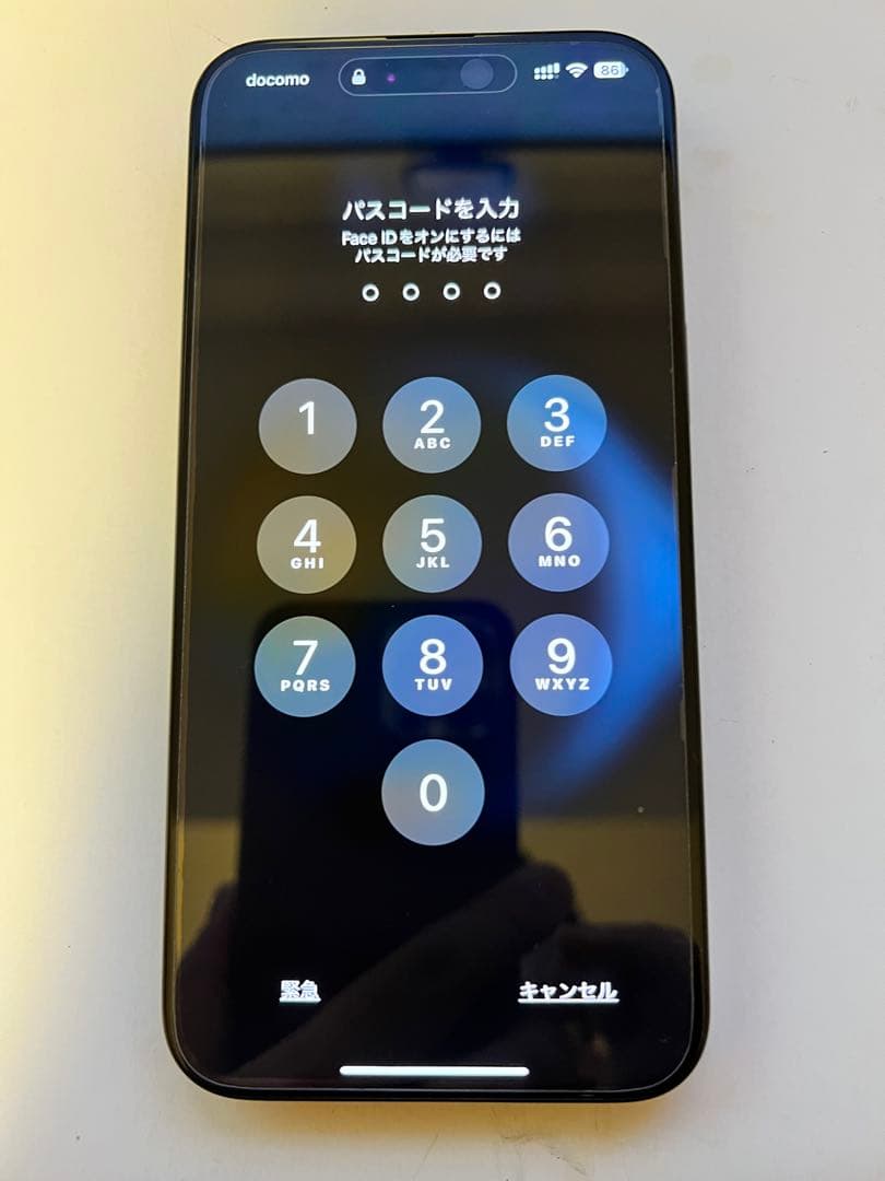 【香港版】美品 Iphone15 Pro max 512GB 迅速発送