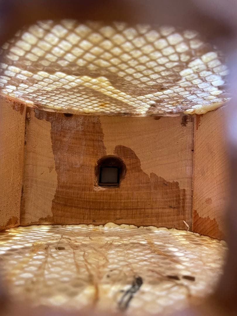 高級黒檀・本皮1枚張り 沖縄三線