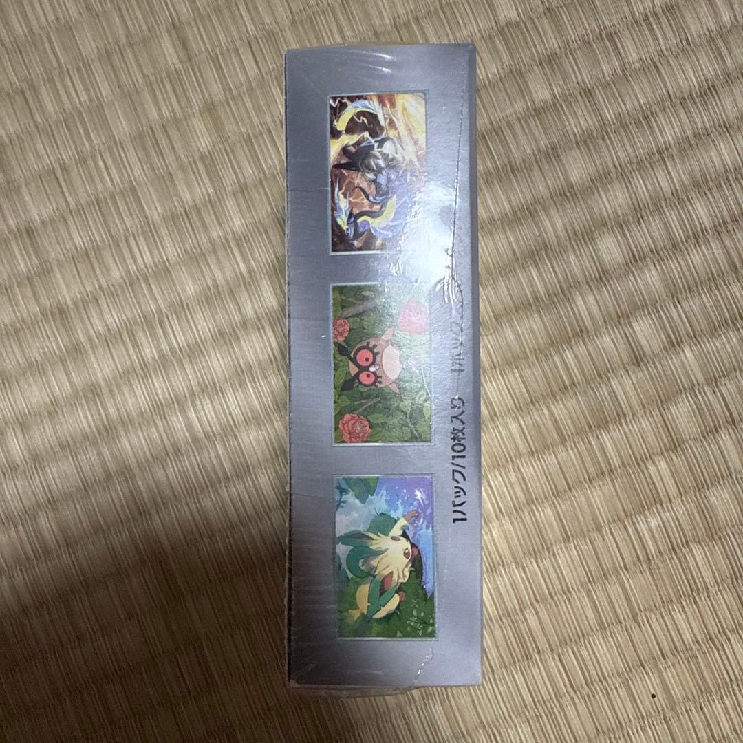 テラスタルフェスex 早い者勝ち